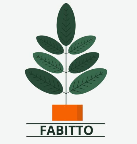 FABITTO गार्डन हेवी-ड्यूटी ब्रेडेड होज़ पाइप होम गार्डन, कार धोने, फर्श की सफाई और पालतू जानवरों को स्नान कराने के लिए 3 क्लैंप के साथ, नारंगी (3/4 इंच होज़ पाइप, 10 मीटर)