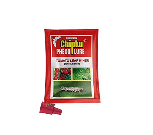 tuta absoluta rubber lure