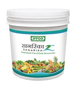 प्लांट ग्रोथ प्रमोटर - दानेदार (10 KG)