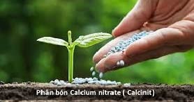 YARA LIVA CALCINIT 1 KG(CALCIUM)