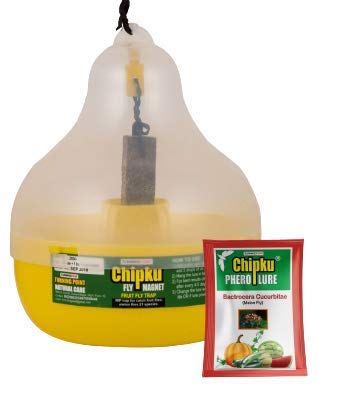 Chipku- Melon Fly bactocera cucurbitae MacPhill/Maxplus pheromone Trap Pack of 5