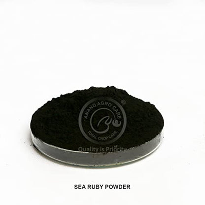 Sea Ruby (Powder) - 100% Water Soluble Naturally Derived Green Seaweed Extract