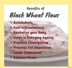Black Wheat Flour,Naturaly Grown, Anti-Oxidant, Low Gluten,Rich in Micro-nutrients, High Dietary Fiber & Protien(500 Grams)