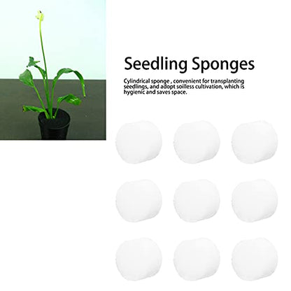 Hydroponic Sponge, Gardening Sponge Hydroponic Tool for Artificial Breeding for Modern Agriculture for Greenhouse Cultivation