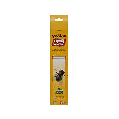 How flying insect trap works