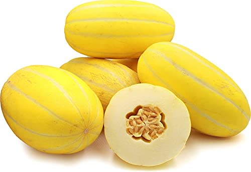 seeds for home garden