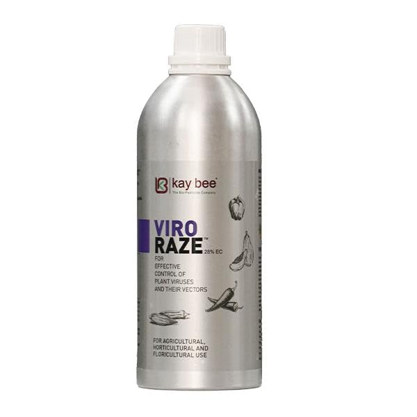 Kay Bee Viro Raze review