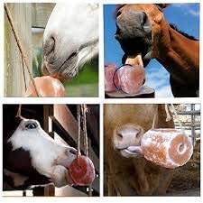 Malowal® Himalayan Rock Salt Animal Licks 2 kg for Horses, Deer, Goats, Cattle,Rabbits & Livestock - Pack of 3
