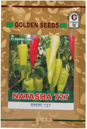advanta upl hybrid golden NATASA 727 CHILLI seeds 50 pcs