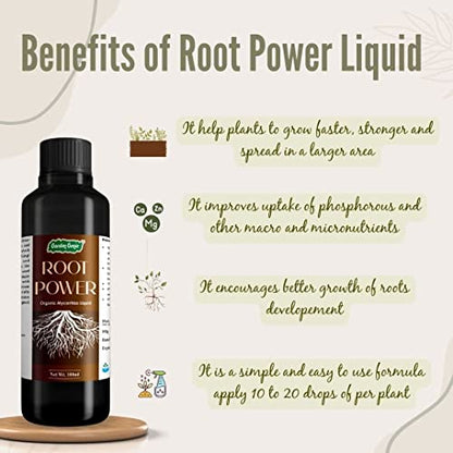 Garden Genie Organic Root Power Liquid VAM Fertilizer (100ml), General Hydroponics Nutrients A&B (250 ml Each) & Clay Balls for plants (900g) - Aeroponics, Agriculture, Aquaponics & Hydroponic Systems