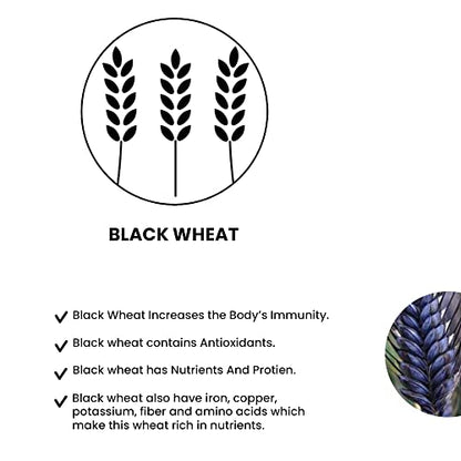Black Wheat Flour,Naturaly Grown, Anti-Oxidant, Low Gluten,Rich in Micro-nutrients, High Dietary Fiber & Protien(500 Grams)