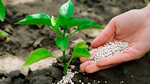 NSCO QUALITY SEEDS Calcium 20%, Magnesium 5% And Sulphur 20% + Plant Nutrients BIOFERTILIZER
