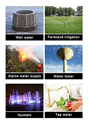 Asian Pumps: Power Your Irrigation with the Sun!