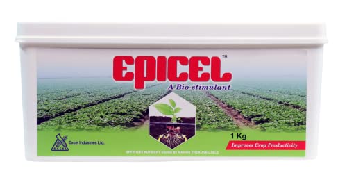 EPICEL बायोस्टिम्युलंट न्यूट्रिएंट मोबिलायझर एपिसेल हे एक बायोस्टिम्युलंट आहे जे पिकांच्या रूट झोनमध्ये लागू केले जाते (1, 1 किलोग्रॅमचे पॅक)_2