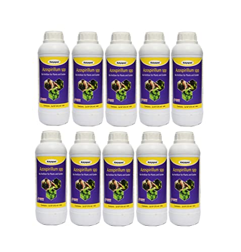 Katyayani Azospirillum Bio Fertilizer for Plants and Home Garden Nitrogen Provider for Paddy, Millets, Oilseeds, Sugarcane, Banana, Coconut, Oil Palm Cotton, Chilly Lime, Coffee Tea Spices, and Herbs Eco-Friendly Liquid Nitrogen Fixing Bacteria Recommende