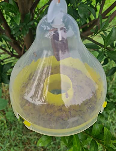 Mac Phill Insect pheromone Trap Used for Melon Fly & Fruit Fly Trap, Reusable, lon Lasting (2)