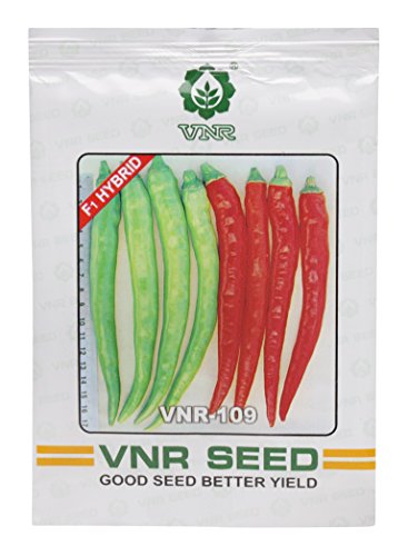VNR 109 F1 Hybrid Chilli Seeds (10 g)