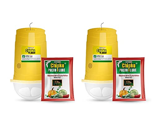 Chipku ECO Trap/IPM Trap/Glass Trap/Melon Fly Trap- Useful for Melon cucurbitae Bottle Guard All Vegetable -2 Pieces