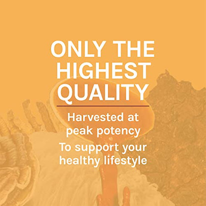 Host Defense - Cordyceps Extract, Mushroom Support for Energy, 60 Servings (2 oz)