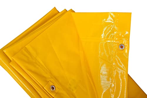 PAD Corp Cross Laminated Tarpaulin 250 GSM Heavy Duty Material, Weather Resistant, Multi Purpose Use (24 x 20 ft)