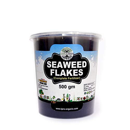 Plants & Roots Plants & Root ® - Seaweed Extract Powder For Plants,100% Water Soluble,Seaweed Powder Fertilizer,Plant Nutrition -(500 Gm Powder)