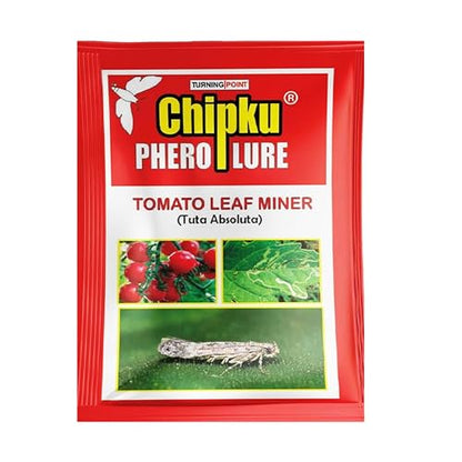 tomato pest control idea