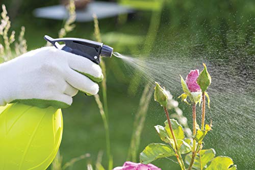 neem oil for rose garden