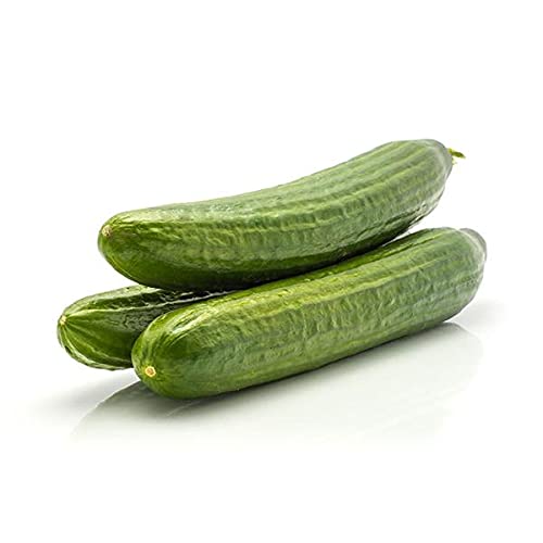 AllThatGrows Cucumber Beit Alpha Seeds - 20 Seeds