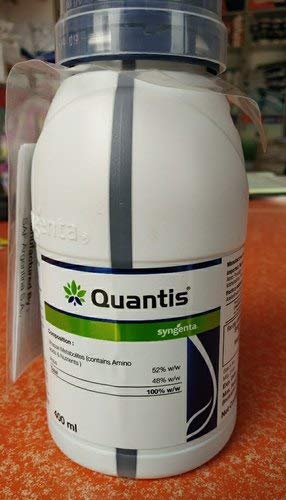 protein hydrolysate