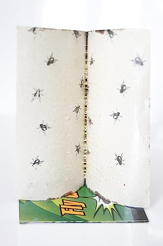 Fly Glue Trap Sticker Paper/Sticky Traps For Home Flies, Pack of20 (Green)