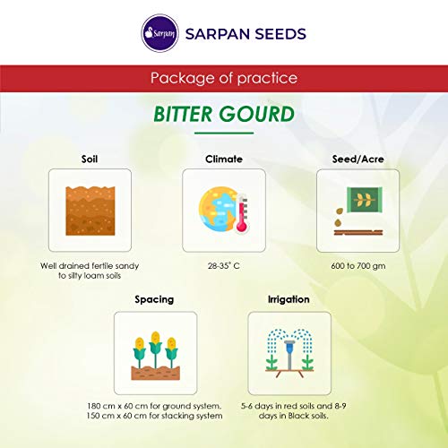 how to grow bitter gourd