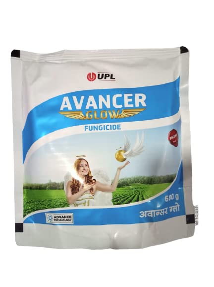 Avancer Glow -600 gm