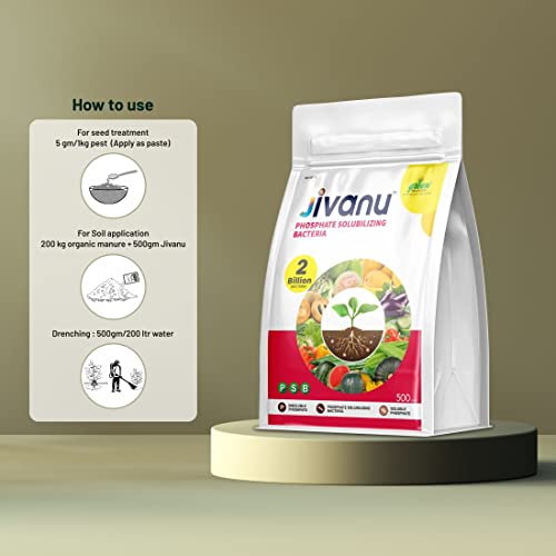 Jivanu PSB (Phosphate Solubilizing Bacteria – PSB) Bio Fertilizers For Agriculture, Garden, Soil Fertility, and Plant Nutrition. Pack of 1 (500 Grams).