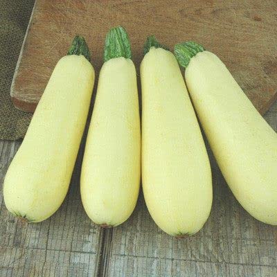 Radha Krishna Agriculture® Zucchini Vegetable Seeds | White Zucchini Seed For Your Home Garden Pack of 20 Gram Seeds