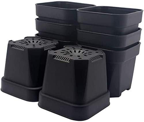 MosQuick® 3 inches Nurser y3 inch Plastic Nursery Seed Seedling Germinating Pots Cup Set Plant Pot, Set of 25 Pcs (Black)