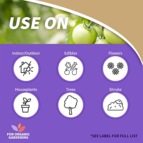 neem oil for indoor and outdoor application. Spray on flowers, edibles, houseplants. trees and shrubs