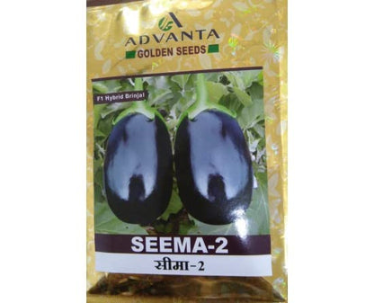 advanta upl hybrid golden seeds SEEMA-2 BRINJAL 50 pcs