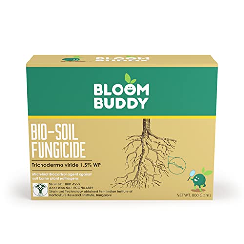BLOOMBUDDY Bio Soil Fungicide (Trichoderma Viride 1.5% WP) Prevents Fungal and Bacterial Diseases in Plants 800 g (Pack of 1)