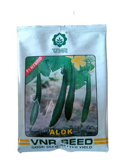 VIKAS BEEJ BHANDAR VNR SEEDS F1 HYBRID SPONGE GOURD 50g PACK 3