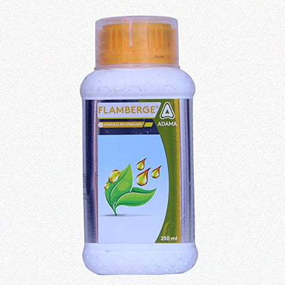 फ्लेमबर्ग 250 एमएल