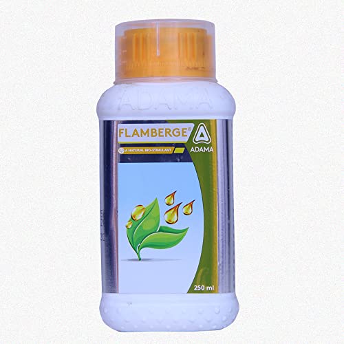 FLEMBERGE 250ML