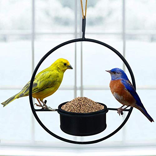 TrustBasket Bird Feeder – Garden Bird Feeder,Hanging Metal Feeder for Balcony,Home,Indoor and Outdoor(Black)