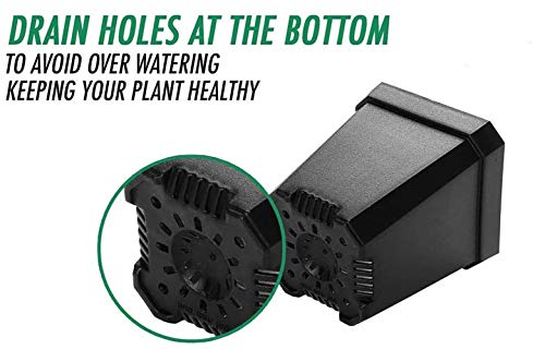 MosQuick® 3 inches Nurser y3 inch Plastic Nursery Seed Seedling Germinating Pots Cup Set Plant Pot, Set of 25 Pcs (Black)