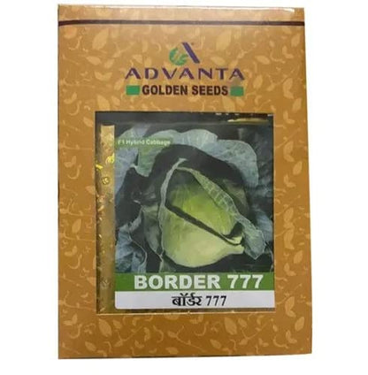 advanta upl hybrid golden BORDER 777 QUALIFLOWER seeds 50 pcs