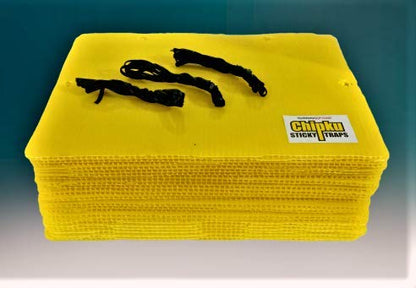 Chipku ® Yellow Non Toxic and Chemical Free Fly Trap Insect Catcher Sticky Trap Pads for Insects, Whiteflies, Aphids, Leaf Minor, Thriphs (Yellow)- 10