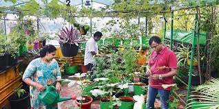 मिक्स ह्युमिक + सीव्हीड + सिलिकॉन (काला मोती) ऑरगॅनिक बॉल फॉर ऑल प्लांट (4 किलो)