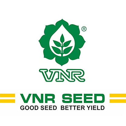 VNR ज्युली हायब्रीड F1 दर्जाचे गोल टोमॅटो बिया 10 ग्रॅम - टमाटर