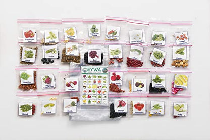 EYWA - Vegitable seeds for terrace gardening (Home Gardening) 30 varieties of Different Seeds (Combo 1)