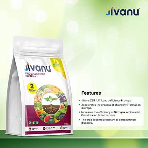 Jivanu Zinc Solubilizing Bacteria Bio Fertilizer - ZSB for All Plants and Home Garden Eco-Friendly (500 Gram)