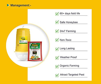 Chipku ECO Trap/IPM Trap/Glass Trap/Melon Fly Trap- Useful for Melon cucurbitae Bottle Guard All Vegetable -2 Pieces